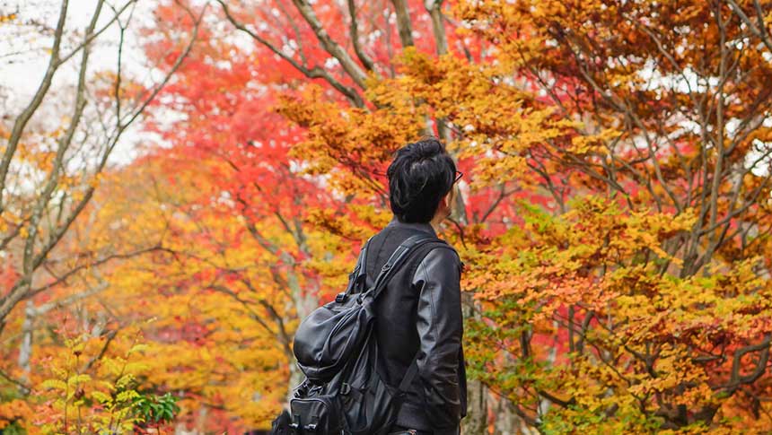 紅葉を見上げる男性